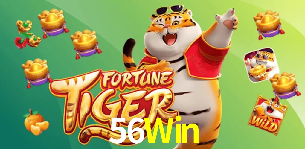 Experiência VIP 56Win