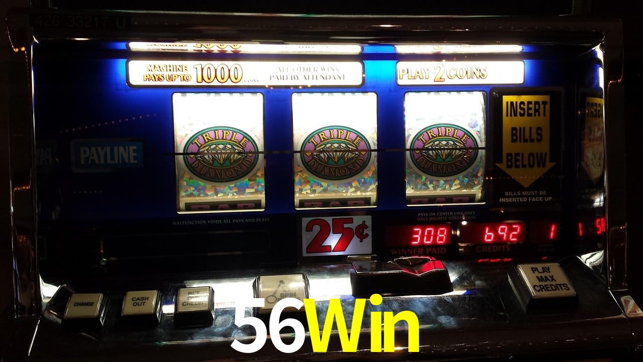 Sports Statistics 56Win